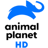 Animal Planet HD